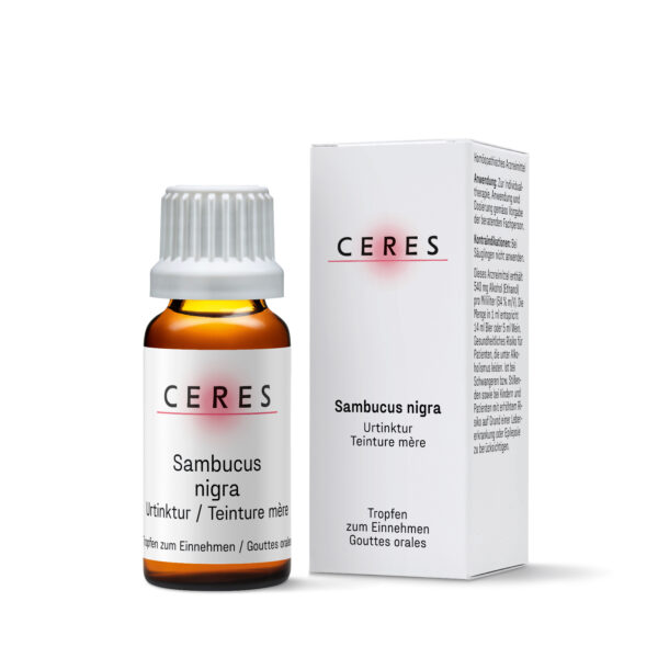 Sambucus nigra - Teinture mère