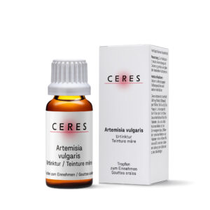 Teinture mère d'Artemisia vulgaris